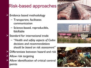 What we have learned about disease risks and food safety in the informal food sector 