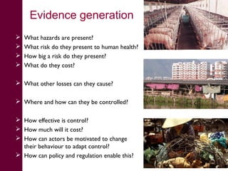 What we have learned about disease risks and food safety in the informal food sector 