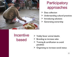 What we have learned about disease risks and food safety in the informal food sector 