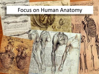 13,000 Pages of Sketches13Focus on Human Anatomy
 