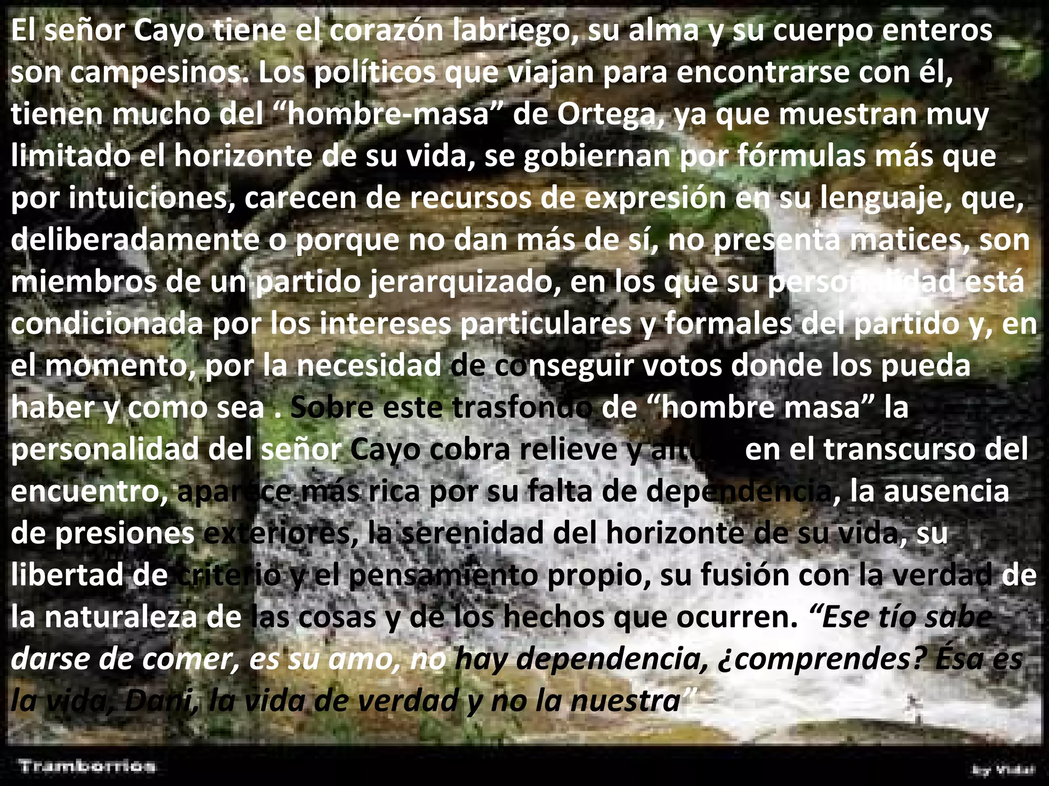 El señor Cayo tiene el corazón labriego, su alma y su cuerpo enteros son campesinos. Los políticos que viajan para encontrarse con él, tienen mucho del “hombre-masa” de Ortega, ya que muestran muy limitado el horizonte de su vida, se gobiernan por fórmulas más que por intuiciones, carecen de recursos de expresión en su lenguaje, que, deliberadamente o porque no dan más de sí, no presenta matices, son miembros de un partido jerarquizado, en los que su personalidad está condicionada por los intereses particulares y formales del partido y, en el momento, por la necesidad  de co nseguir votos donde los pueda haber y como sea .  Sobre este trasfondo  de “hombre masa” la personalidad del señor  Cayo cobra relieve y altura  en el transcurso del encuentro,  aparece más rica por su falta de dependencia , la ausencia de presiones  exteriores, la serenidad del horizonte de su vida , su libertad de  criterio y el pensamiento propio, su fusión con la verdad  de la naturaleza de  las cosas y de los hechos que ocurren.  “Ese tío sabe  darse de comer, es su amo, no  hay dependencia, ¿comprendes? Ésa es la vida, Dani, la vida de verdad y no la nuestra ”   