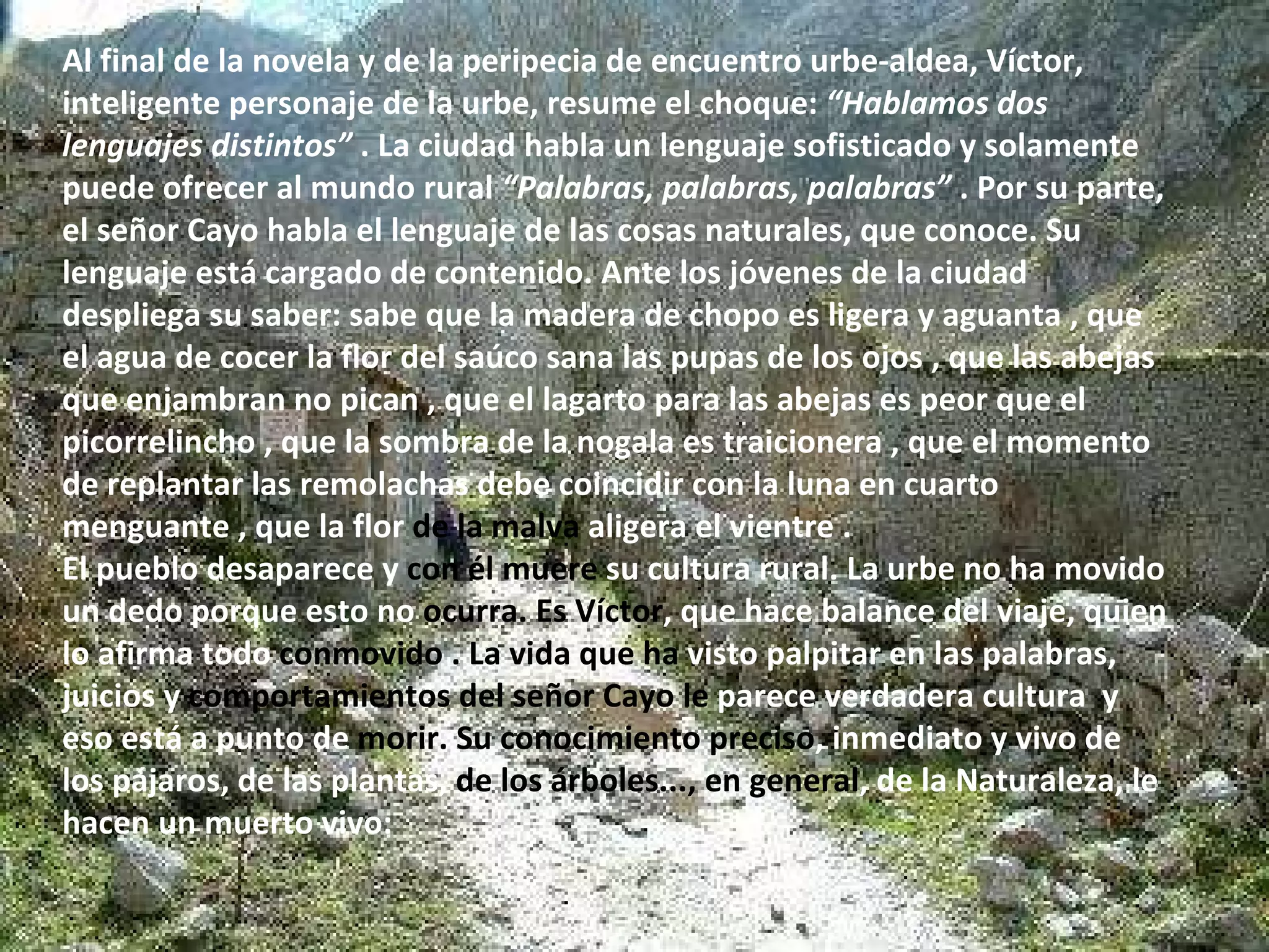 Al final de la novela y de la peripecia de encuentro urbe-aldea, Víctor, inteligente personaje de la urbe, resume el choque:  “Hablamos dos lenguajes distintos”  . La ciudad habla un lenguaje sofisticado y solamente puede ofrecer al mundo rural  “Palabras, palabras, palabras”  . Por su parte, el señor Cayo habla el lenguaje de las cosas naturales, que conoce. Su lenguaje está cargado de contenido. Ante los jóvenes de la ciudad despliega su saber: sabe que la madera de chopo es ligera y aguanta , que el agua de cocer la flor del saúco sana las pupas de los ojos , que las abejas que enjambran no pican , que el lagarto para las abejas es peor que el picorrelincho , que la sombra de la nogala es traicionera , que el momento de replantar las remolachas debe coincidir con la luna en cuarto menguante , que la flor  de la malva  aligera el vientre . El pueblo desaparece y  con él muere  su cultura rural. La urbe no ha movido un dedo porque esto no  ocurra. Es Víctor , que hace balance del viaje, quien lo afirma todo  conmovido . La vida que ha  visto palpitar en las palabras, juicios y  comportamientos del señor Cayo le  parece verdadera cultura  y eso está a punto de  morir. Su conocimiento preciso , inmediato y vivo de los pájaros, de las plantas,  de los árboles..., en general , de la Naturaleza, le hacen un muerto vivo: 