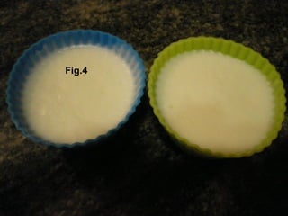 Fig.4 