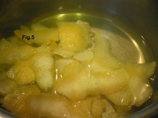 Fig.5 
