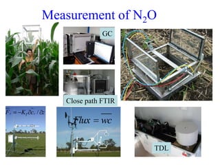 Modelling nitrous oxide emissions from agricultural soils - Deli Chen ...