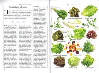 Deliciosas ensaladas   anne wilson