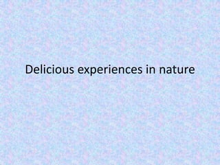Delicious experiences in nature 