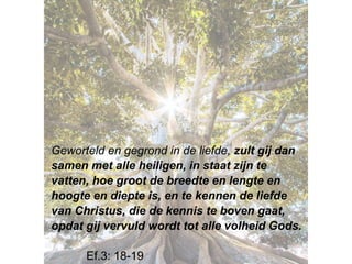 Geworteld en gegrond in de ​liefde, zult gij dan
samen met alle ​heiligen, in staat zijn te
vatten, hoe groot de breedte en lengte en
hoogte en diepte is, en te kennen de ​liefde​
van ​Christus, die de kennis te boven gaat,
opdat gij vervuld wordt tot alle volheid Gods.
Ef.3: 18-19
 