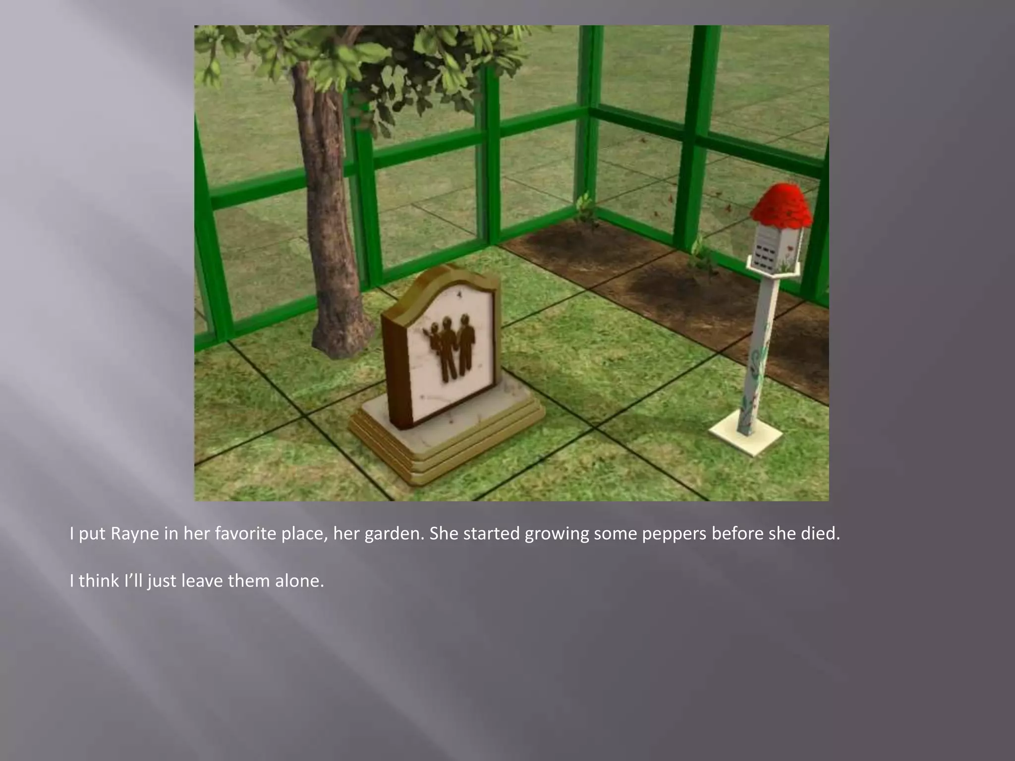 I put Rayne in her favorite place, her garden. She started growing some peppers before she died. I think I’ll just leave them alone.