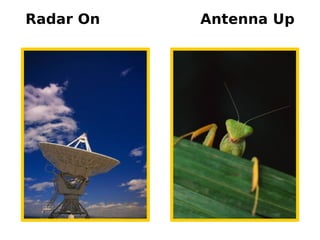 80
Radar On Antenna Up
 