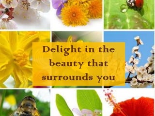 Delight in the beauty that surrounds you 