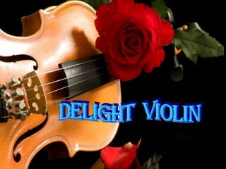 DELIGHT VIOLIN