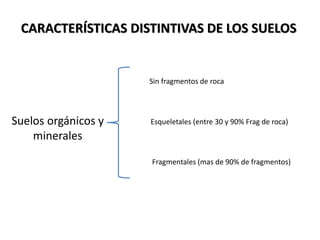 CARACTERÍSTICAS DISTINTIVAS DE LOS SUELOS
Sin fragmentos de roca
Esqueletales (entre 30 y 90% Frag de roca)
Fragmentales (mas de 90% de fragmentos)
Suelos orgánicos y
minerales
 