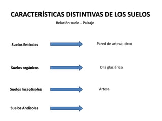 CARACTERÍSTICAS DISTINTIVAS DE LOS SUELOS
Relación suelo - Paisaje
Suelos Entisoles
Suelos orgánicos
Suelos Inceptisoles
Pared de artesa, circo
Olla glaciárica
Suelos Andisoles
Artesa
 