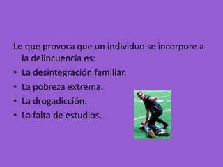 Lo que provoca que un individuo se incorpore a
  la delincuencia es:
• La desintegración familiar.
• La pobreza extrema.
• La drogadicción.
• La falta de estudios.
 
