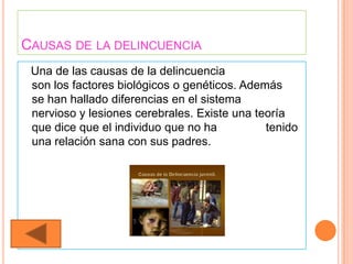 CAUSAS DE LA DELINCUENCIA
 Una de las causas de la delincuencia
 son los factores biológicos o genéticos. Además
 se han hallado diferencias en el sistema
 nervioso y lesiones cerebrales. Existe una teoría
 que dice que el individuo que no ha          tenido
 una relación sana con sus padres.
 
