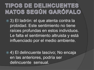  3) El ladrón: el que atenta contra la
  probidad. Este sentimiento no tiene
  raíces profundas en estos individuos.
  Le falta el sentimiento altruista y está
  influenciado por el medio ambiente.

 4)El delincuente lascivo; No encaja
  en las anteriores, podría ser
  delincuente sensual.
 