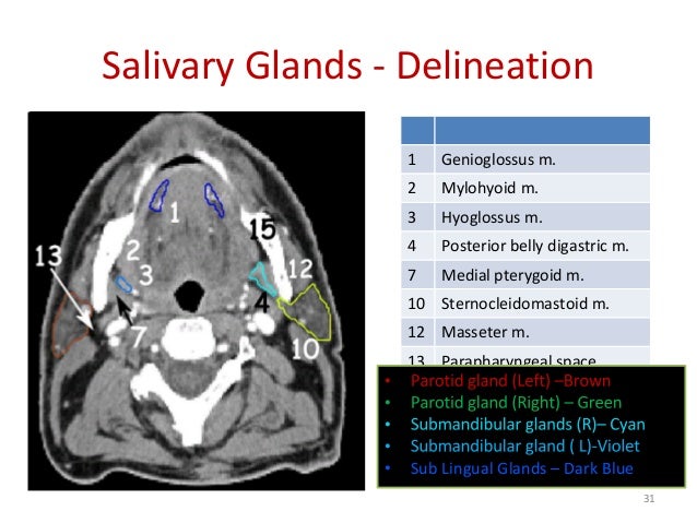 delineation dysphagia aspiration