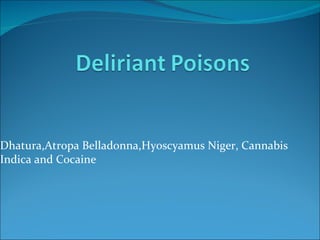 Dhatura,Atropa Belladonna,Hyoscyamus Niger, Cannabis Indica and Cocaine 