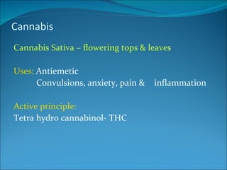 Deliritant Deliriant poison | PPT