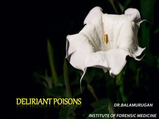 Deliritant Deliriant poison | PPTX