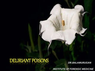 DELIRIANT POISONS DR.BALAMURUGAN
INSTITUTE OF FORENSIC MEDICINE
 