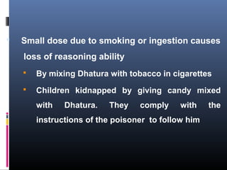  Small dose due to smoking or ingestion causes
loss of reasoning ability
 By mixing Dhatura with tobacco in cigarettes
 Children kidnapped by giving candy mixed
with Dhatura. They comply with the
instructions of the poisoner to follow him
 