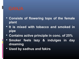 GANJA
 Consists of flowering tops of the female
plant
 It is mixed with tobacco and smoked in
pipe
 Contains active principle in conc. of 25%
 Smoker feels lazy & indulges in day
dreaming
 Used by sadhus and fakirs
 