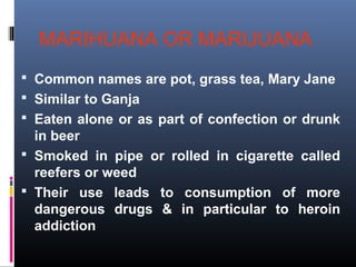 MARIHUANA OR MARIJUANA
 Common names are pot, grass tea, Mary Jane
 Similar to Ganja
 Eaten alone or as part of confection or drunk
in beer
 Smoked in pipe or rolled in cigarette called
reefers or weed
 Their use leads to consumption of more
dangerous drugs & in particular to heroin
addiction
 