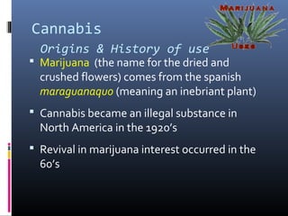 Cannabis
Origins & History of use
 Marijuana (the name for the dried and
crushed flowers) comes from the spanish
maraguanaquo (meaning an inebriant plant)
 Cannabis became an illegal substance in
North America in the 1920’s
 Revival in marijuana interest occurred in the
60’s
 