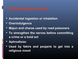 Medicolegal Aspects
 Accidental ingestion or inhalation
 Overindulgence
 Majun and charas used by road poisoners
 To strengthen the nerves before committing
a crime or a bold act
 Aphrodisiac
 Used by fakirs and poojaris to get into a
religious mood
 