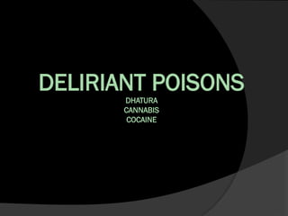 Deliritant Comprehensive Overview of Deliriant Poisons: Datura, Cannabis, and ...