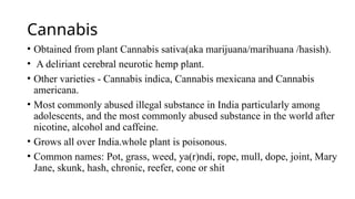 Deliritant Comprehensive Overview of Deliriants: Cannabis and Dhatura Toxicology ...