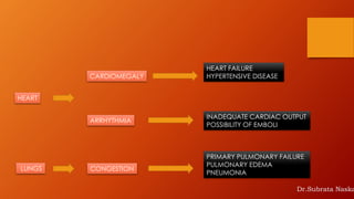 HEART
ARRHYTHMIA
INADEQUATE CARDIAC OUTPUT
POSSIBILITY OF EMBOLI
CARDIOMEGALY
HEART FAILURE
HYPERTENSIVE DISEASE
CONGESTION
PRIMARY PULMONARY FAILURE
PULMONARY EDEMA
PNEUMONIA
LUNGS
Dr.Subrata Naska
 