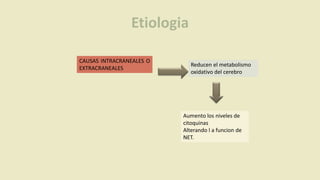 Etiologia
CAUSAS INTRACRANEALES O
EXTRACRANEALES
Reducen el metabolismo
oxidativo del cerebro
Aumento los niveles de
citoquinas
Alterando l a funcion de
NET.
 
