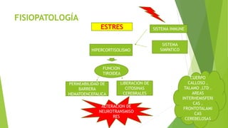 FISIOPATOLOGÍA
ESTRES
HIPERCORTISOLISMO
FUNCION
TIROIDEA
SISTEMA INMUNE
SISTEMA
SIMPATICO
PERMEABILIDAD DE
BARRERA
HEMATOENCEFALICA
LIBERACION DE
CITOSINAS
CEREBRALES
ALTERACION DE
NEUROTRANSMISO
RES
CUERPO
CALLOSO ,
TALAMO ,LTD .
AREAS
INTERHEMISFERI
CAS ,
FRONTOTALAMI
CAS
CEREBELOSAS
 