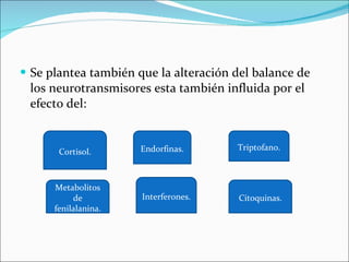 Se plantea también que la alteración del balance de los neurotransmisores esta también influida por el efecto del: Endorfinas. Triptofano. Citoquinas. Metabolitos de fenilalanina. Interferones. Cortisol. 