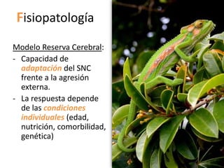 Fisiopatología
Modelo Reserva Cerebral:
- Capacidad de
  adaptación del SNC
  frente a la agresión
  externa.
- La respuesta depende
  de las condiciones
  individuales (edad,
  nutrición, comorbilidad,
  genética)
 