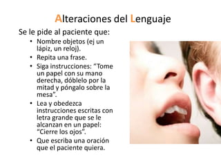 Alteraciones del Lenguaje
Se le pide al paciente que:
   • Nombre objetos (ej un
     lápiz, un reloj).
   • Repita una frase.
   • Siga instrucciones: “Tome
     un papel con su mano
     derecha, dóblelo por la
     mitad y póngalo sobre la
     mesa”.
   • Lea y obedezca
     instrucciones escritas con
     letra grande que se le
     alcanzan en un papel:
     “Cierre los ojos”.
   • Que escriba una oración
     que el paciente quiera.
 