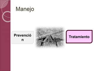Manejo
Prevenció
n
Tratamiento
 