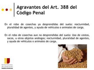 Agravantes del Art. 388 del
         Código Penal

En el robo de cosechas ya desprendidas del suelo: nocturnidad,
  pluralidad de agentes, y ayuda de vehículos o animales de carga.

En el robo de cosechas aun no desprendidas del suelo: Uso de cestos,
  sacos, u otros objetos análogos; nocturnidad, pluralidad de agentes,
  y ayuda de vehículos o animales de carga.
 