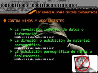 Delitos informaticos