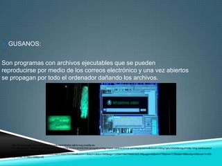  GUSANOS:


Son programas con archivos ejecutables que se pueden
reproducirse por medio de los correos electrónico y una vez abiertos
se propagan por todo el ordenador dañando los archivos.




   http://www.google.com.co/imgres?hl=es&client=firefox-a&rls=org.mozilla:es-
   ES:official&biw=1366&bih=674&tbm=isch&tbnid=NLZCXCinEWdOKM:&imgrefurl=http://www.xatakaciencia.com/tag/gusanos&docid=t39SgYg8yVKlkM&imgurl=http://img.xatakacienci
   a.com/2011/01/independence-
   day.jpg&w=564&h=252&ei=dCtuUMvEA6OT0QG75YCIAw&zoom=1&iact=rc&dur=545&sig=112594749476896050516&page=4&tbnh=77&tbnw=173&start=68&ndsp=24&ved=1t:429
   ,r:21,s:68,i:419&tx=58&ty=45
 