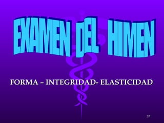 . FORMA – INTEGRIDAD- ELASTICIDAD  EXAMEN  DEL  HIMEN  