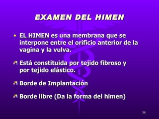 EXAMEN DEL HIMEN EL HIMEN  es una membrana que se interpone entre el orificio anterior de la vagina y la vulva. Está constituida por tejido fibroso y por tejido elástico. Borde de Implantación Borde libre (Da la forma del himen) 