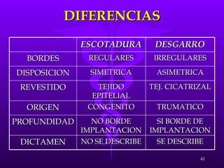 DIFERENCIAS ESCOTADURA DESGARRO BORDES REGULARES IRREGULARES DISPOSICION SIMETRICA ASIMETRICA REVESTIDO TEJIDO EPITELIAL TEJ. CICATRIZAL ORIGEN CONGENITO TRUMATICO PROFUNDIDAD NO BORDE IMPLANTACION SI BORDE DE IMPLANTACION DICTAMEN NO SE DESCRIBE SE DESCRIBE 