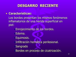 Características: Los bordes presentan los mismos fenómenos inflamatorios de una herida superficial en piel: Enrojecimiento de los bordes. Edema.  Equimosis. Infiltración hemática perilesional. Sangrado Bordes en proceso de cicatrización. DESGARRO  RECIENTE 