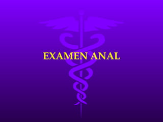 EXAMEN ANAL 