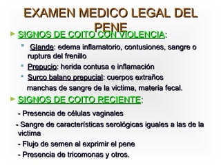 EXAMEN MEDICO LEGAL DEL
                 PENE
► SIGNOS DE COITO CON VIOLENCIA:
   Glande: edema inflamatorio, contusiones, sangre o
    ruptura del frenillo
   Prepucio: herida contusa e inflamación
   Surco balano prepucial: cuerpos extraños
    manchas de sangre de la victima, materia fecal.
► SIGNOS DE COITO RECIENTE:

  - Presencia de células vaginales
 - Sangre de características serológicas iguales a las de la
  victima
  - Flujo de semen al exprimir el pene
  - Presencia de tricomonas y otros.
 