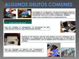 Provocan serias pérdidas económicas.